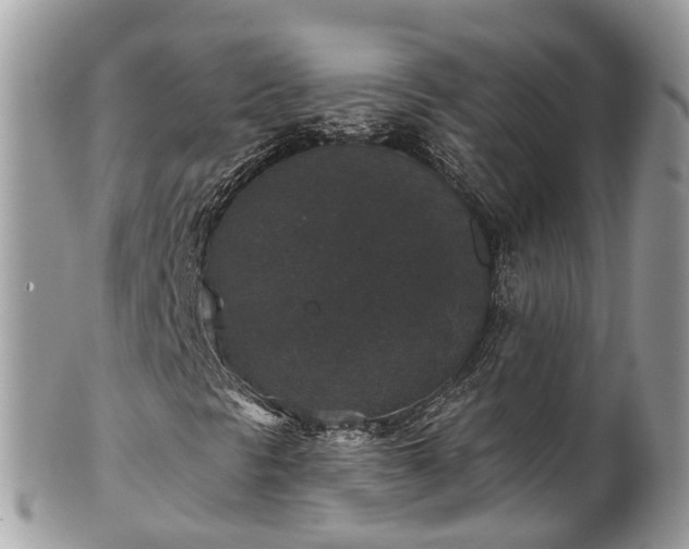 X0000102041297200807251405