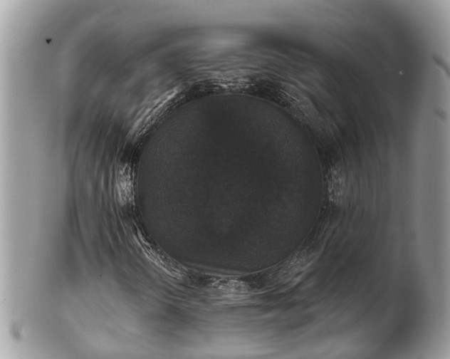 X0000102041298200807251405