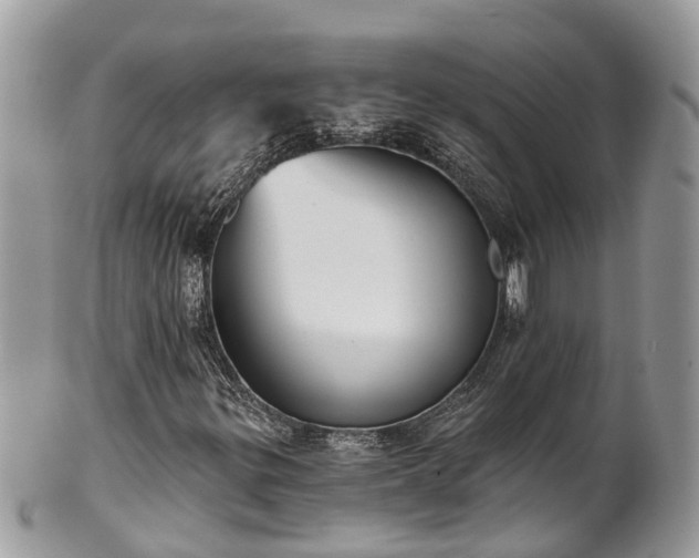 X0000102041299200807251405