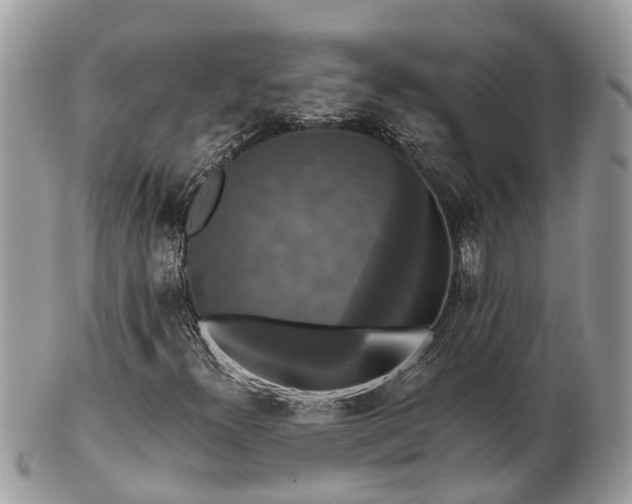 X0000102041300200807251405