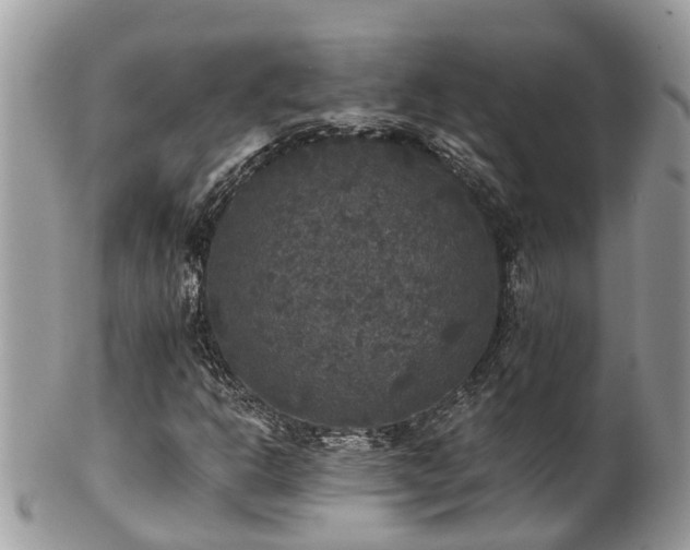 X0000102041302200807251405