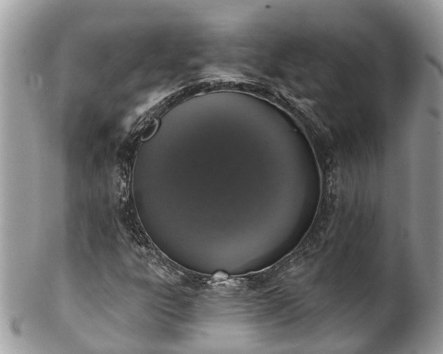 X0000102041303200807251405