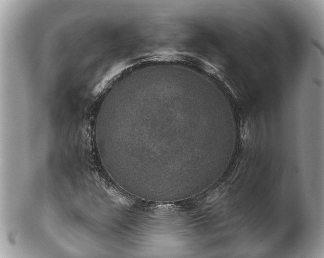 X0000102041304200807251405