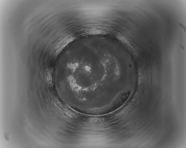 X0000102041305200807251405