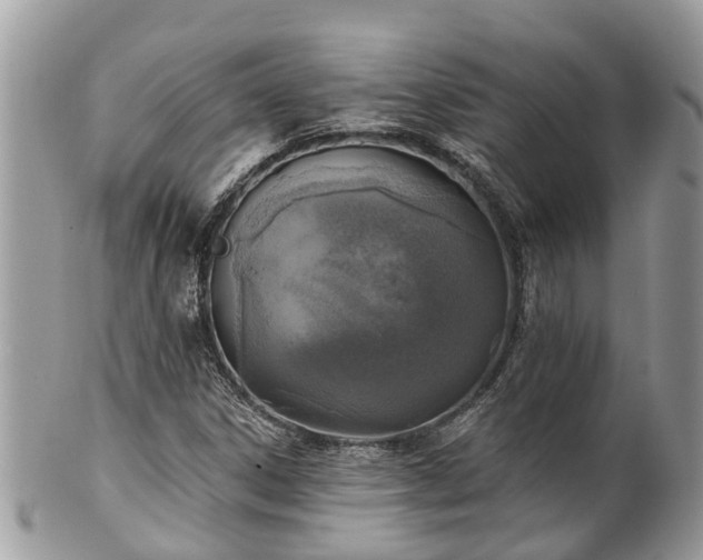 X0000102041306200807251405