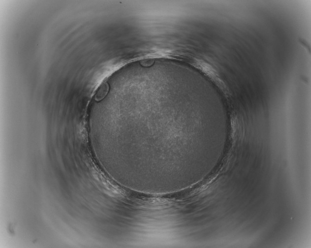 X0000102041308200807251405