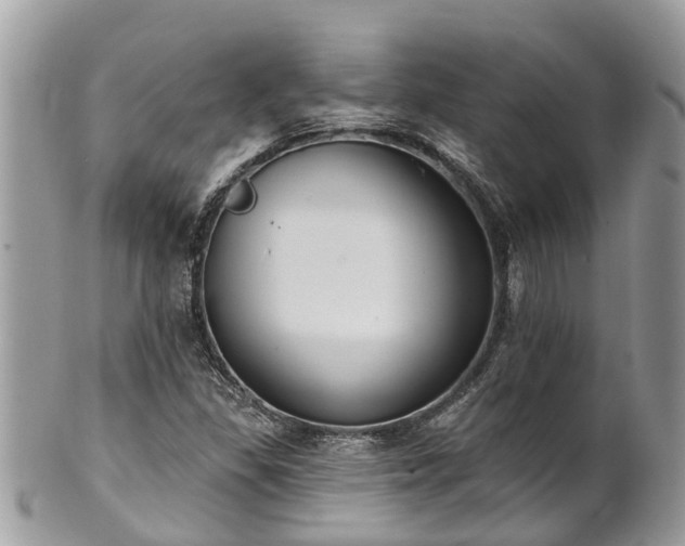 X0000102041309200807251405