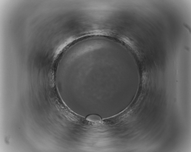 X0000102041310200807251405