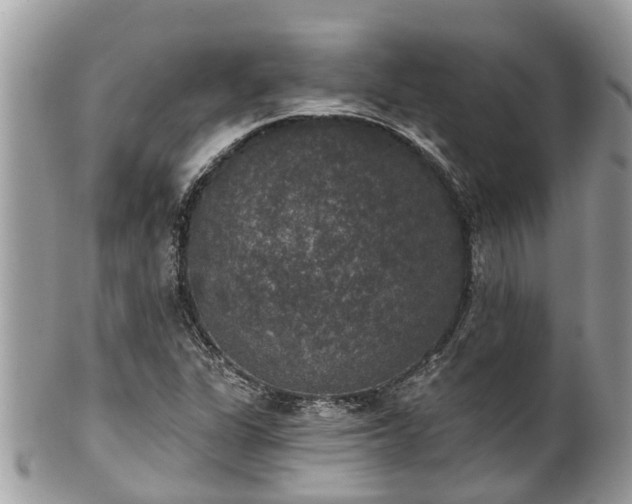 X0000102041311200807251405