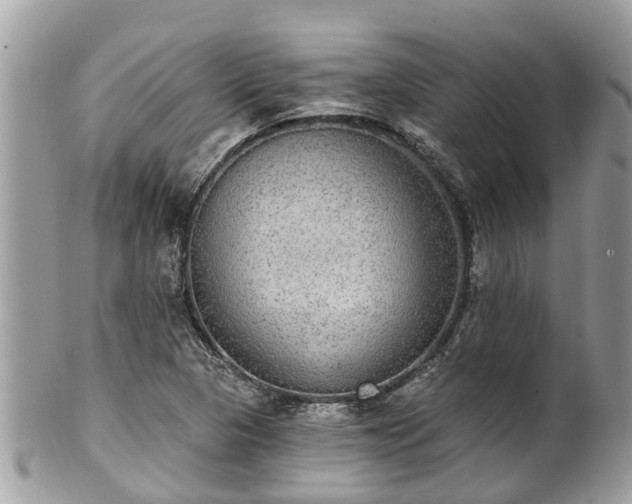 X0000102041313200807251405