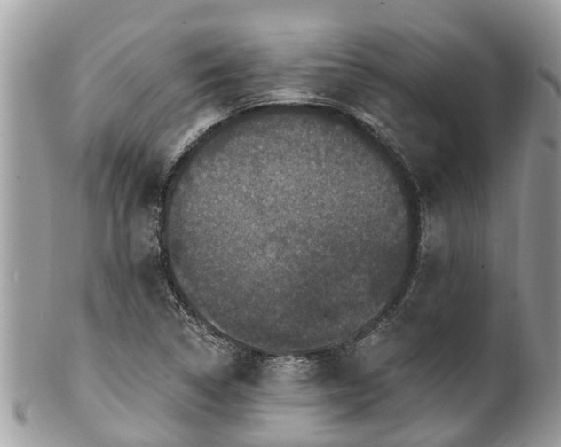 X0000102041314200807251405