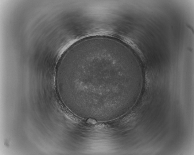 X0000102041316200807251405