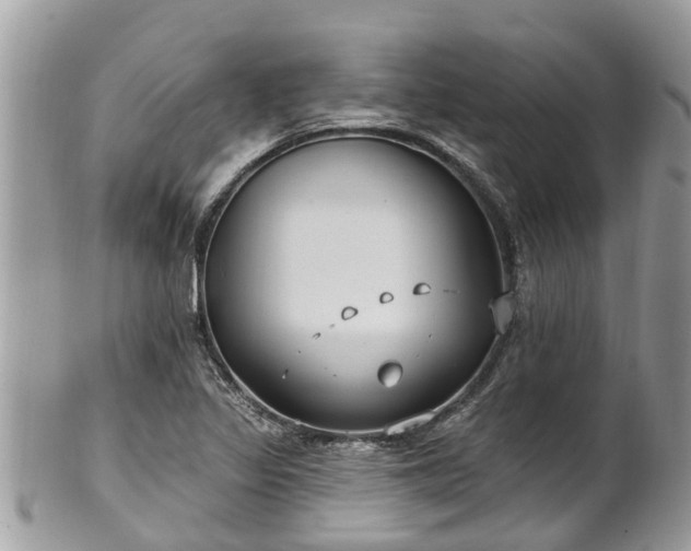 X0000102041317200807251405