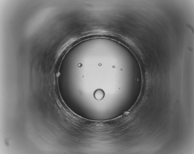 X0000102041318200807251405