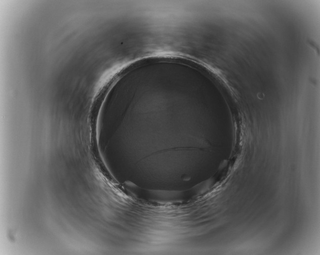 X0000102041319200807251405