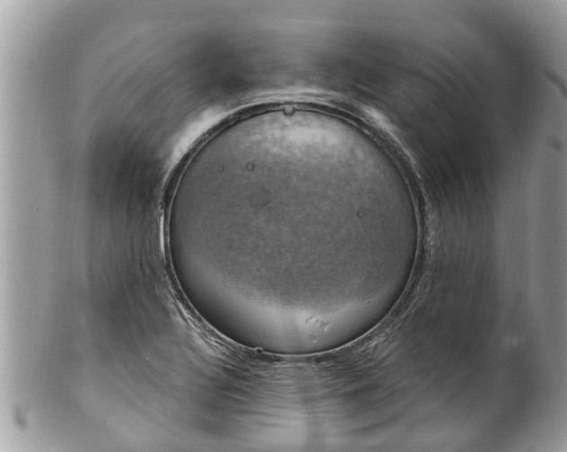 X0000102041320200807251405