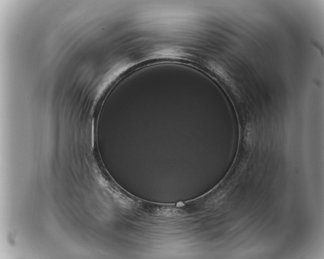 X0000102041323200807251405