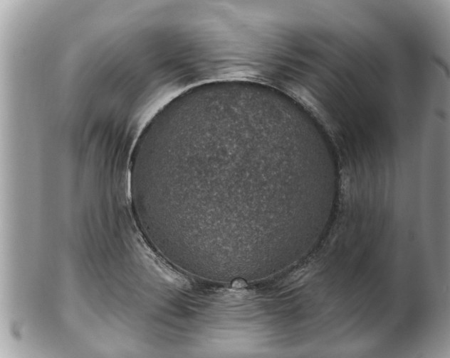 X0000102041324200807251405