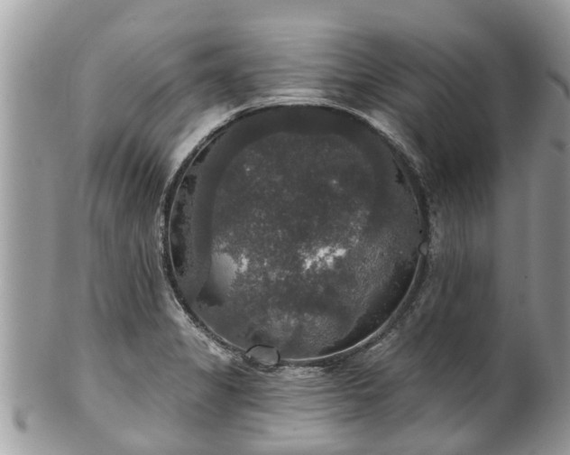 X0000102041325200807251405