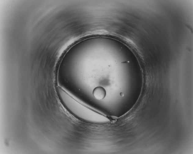 X0000102041326200807251405