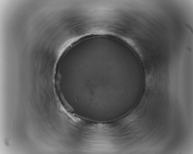 X0000102041327200807251405