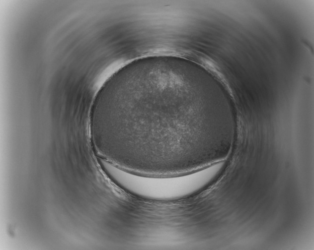 X0000102041328200807251405