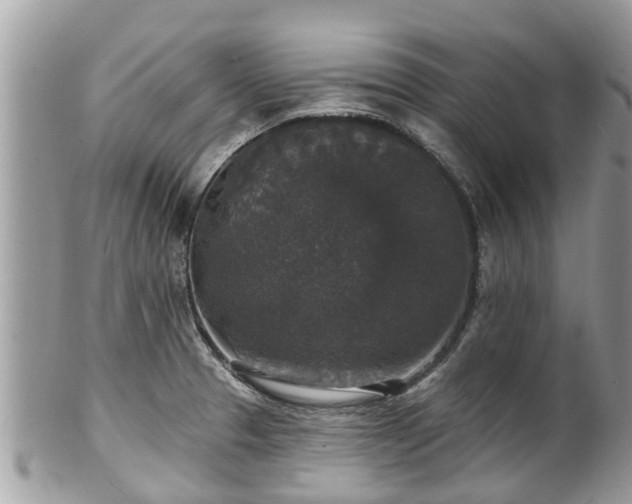 X0000102041329200807251405