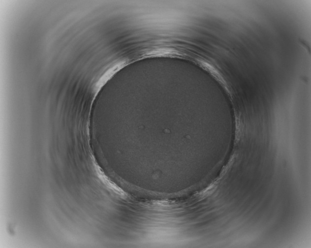 X0000102041330200807251405