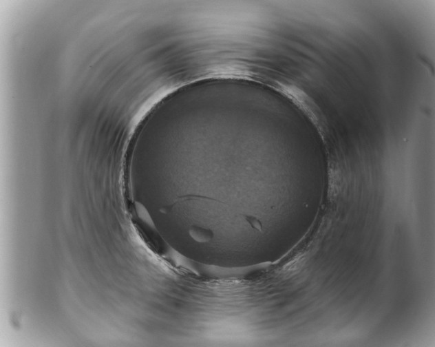 X0000102041331200807251405