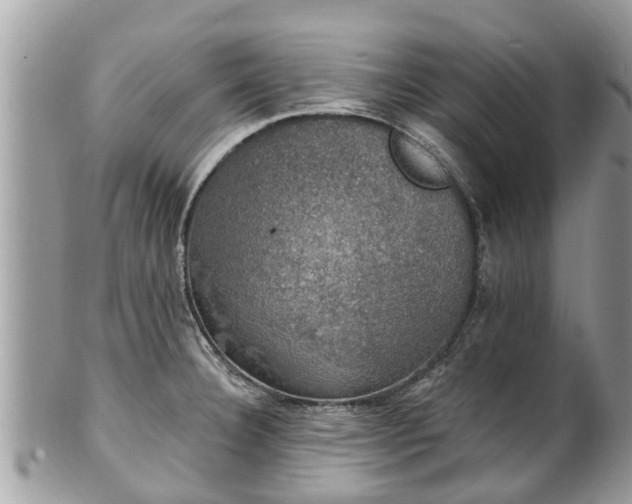 X0000102041332200807251405