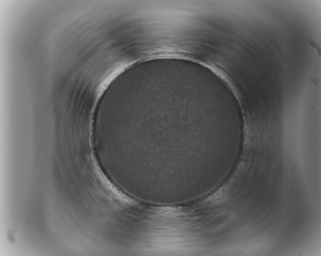 X0000102041333200807251405