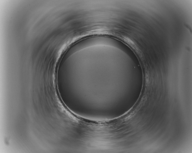 X0000102041334200807251405