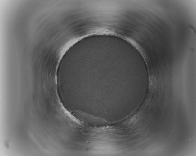 X0000102041335200807251405