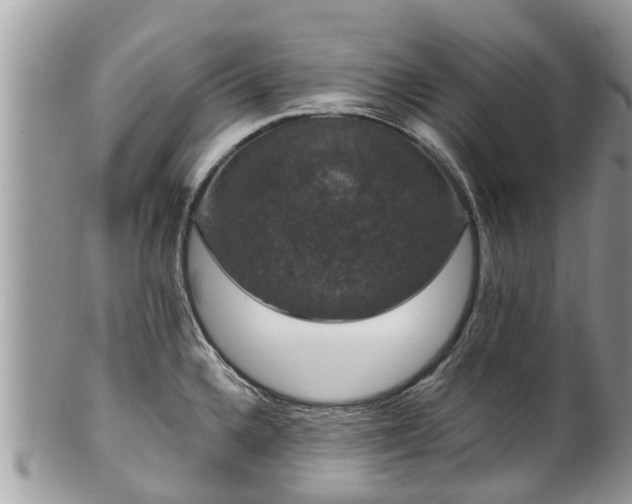 X0000102041336200807251405