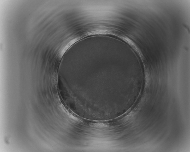 X0000102041337200807251405