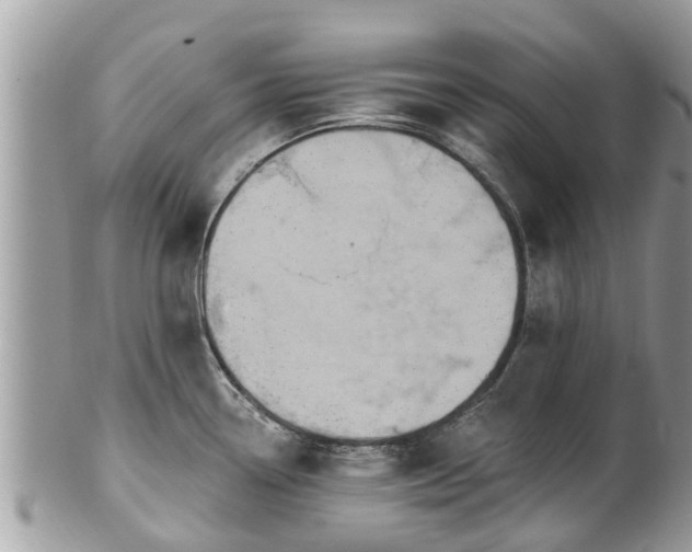 X0000102041338200807251405