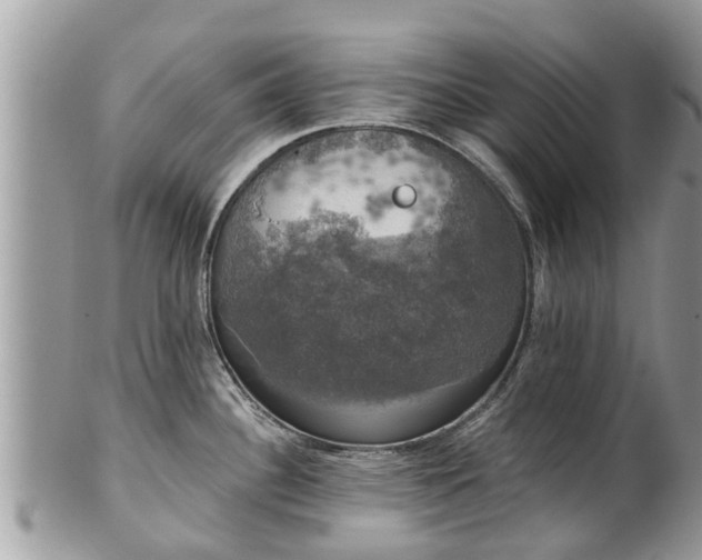 X0000102041340200807251405