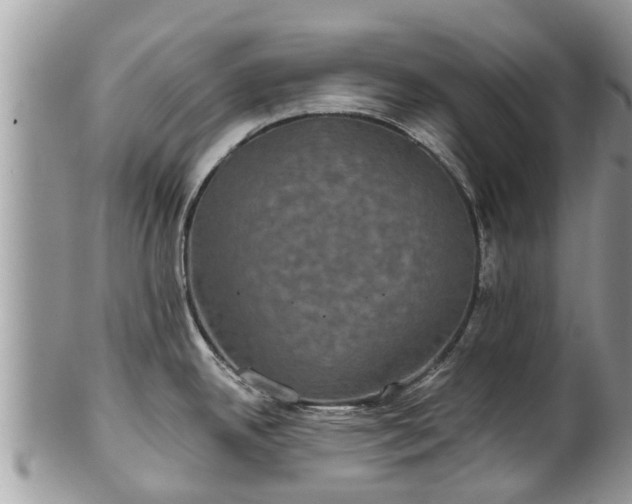 X0000102041342200807251405