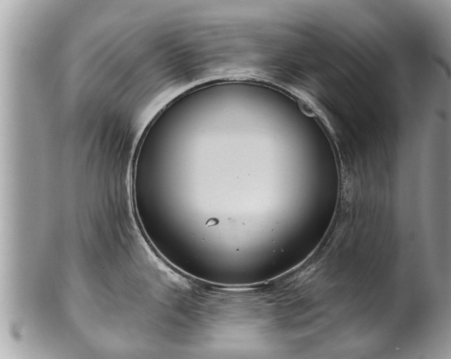 X0000102041343200807251405