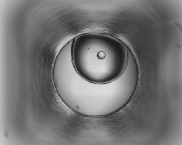 X0000102041344200807251405