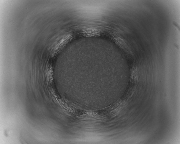 X0000102041346200807251405