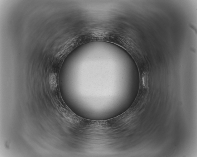 X0000102041347200807251405