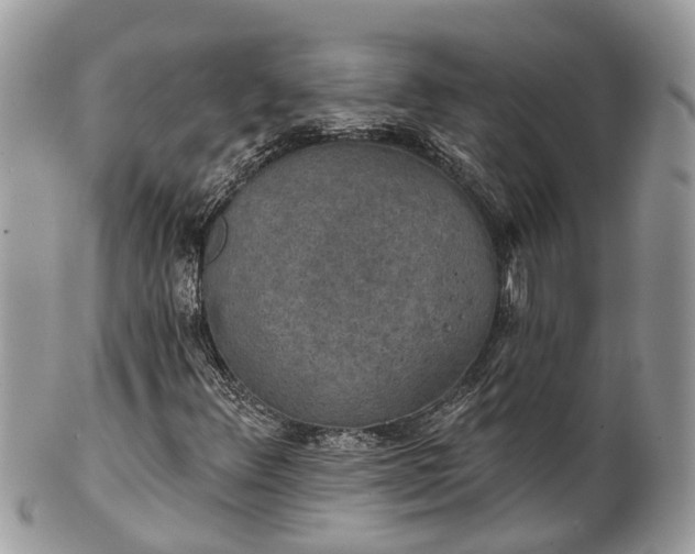 X0000102041348200807251405