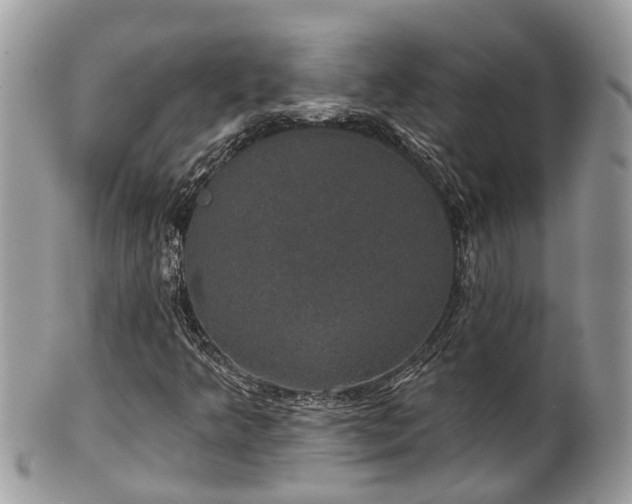 X0000102041349200807251405