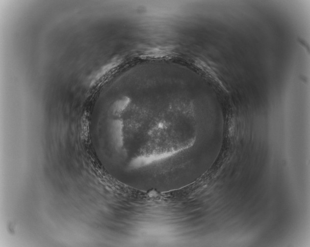 X0000102041350200807251405