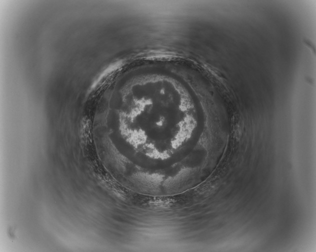 X0000102041351200807251405