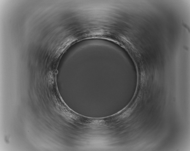 X0000102041353200807251405