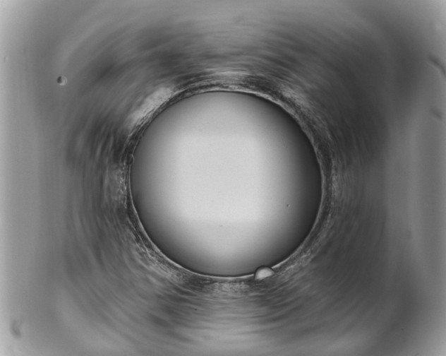 X0000102041354200807251405