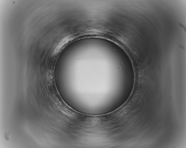 X0000102041355200807251405