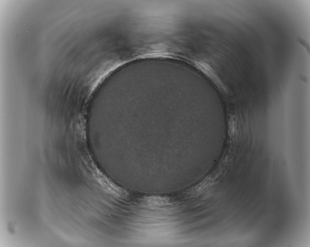 X0000102041356200807251405